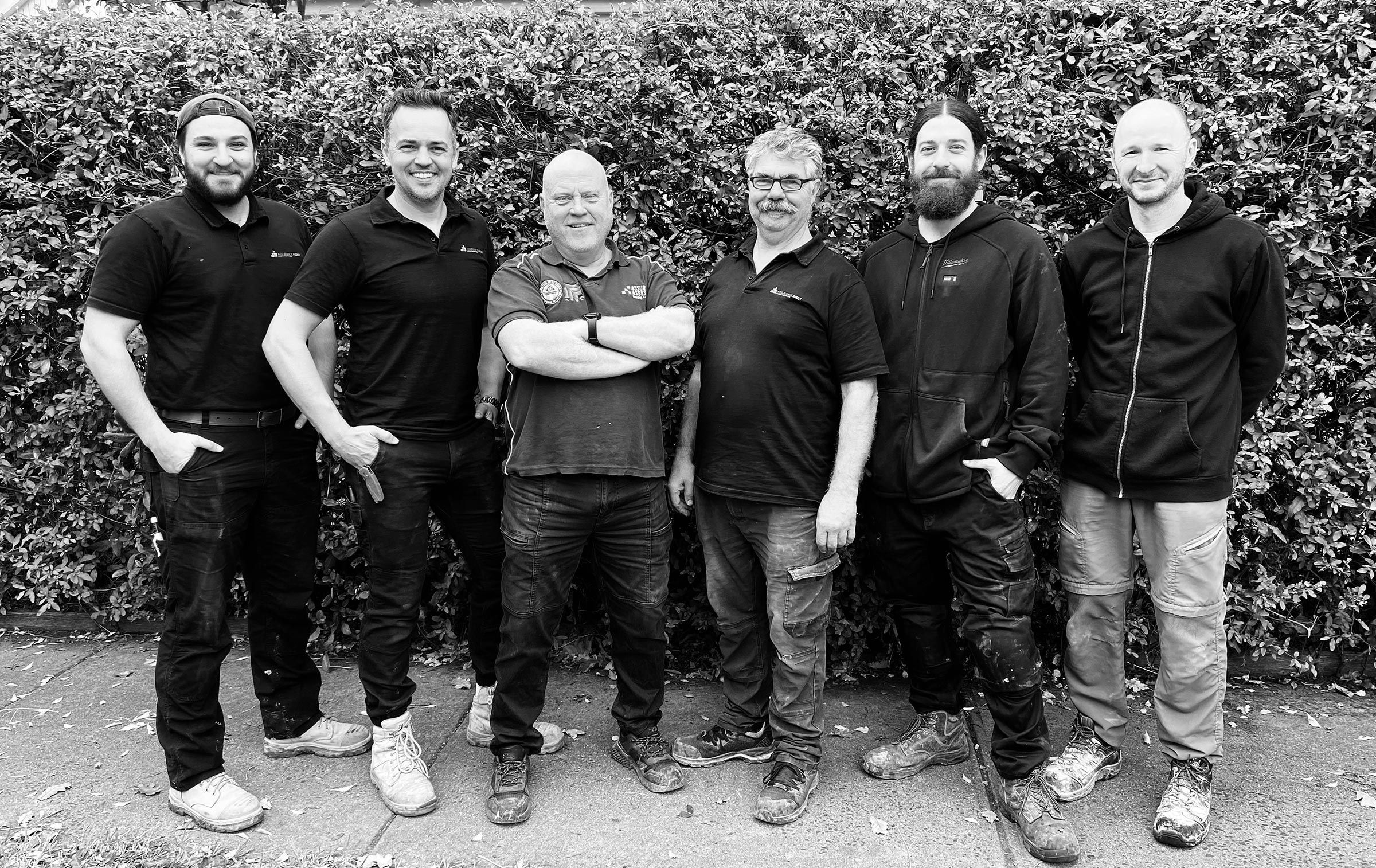 Assurance Assist Team